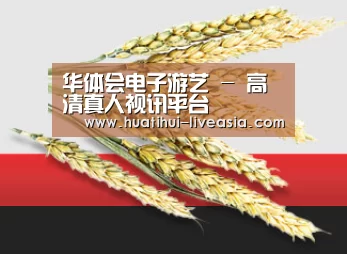 华体会电子游艺 - 高清真人视讯平台