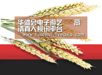华体会电子游艺 - 高清真人视讯平台