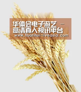 华体会电子游艺 - 高清真人视讯平台