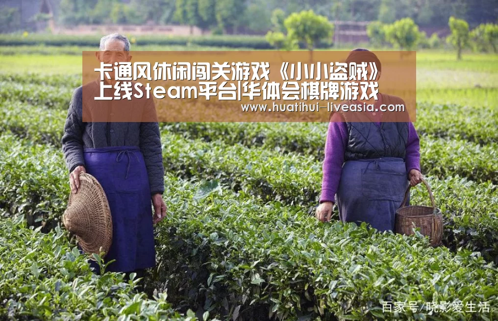 卡通风休闲闯关游戏《小小盗贼》上线Steam平台|华体会棋牌游戏(图2) 华体会棋牌游戏