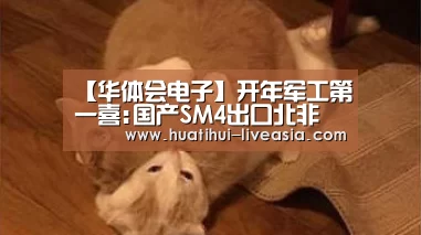 【华体会电子】开年军工第一喜:国产SM4出口北非 该国拥7款中国武器(图1) 华体会电子游艺