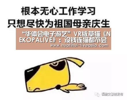“华体会电子游艺”VR版草猫《NEKOPALIVE》:没钱连猫都不会喜欢你!(图1) 华体会棋牌游戏