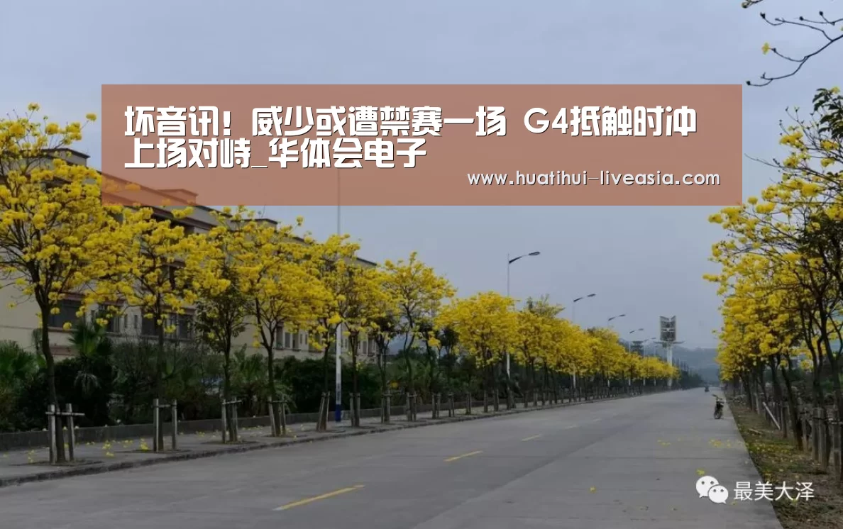 坏音讯!威少或遭禁赛一场 G4抵触时冲上场对峙_华体会电子(图2) 华体会电子